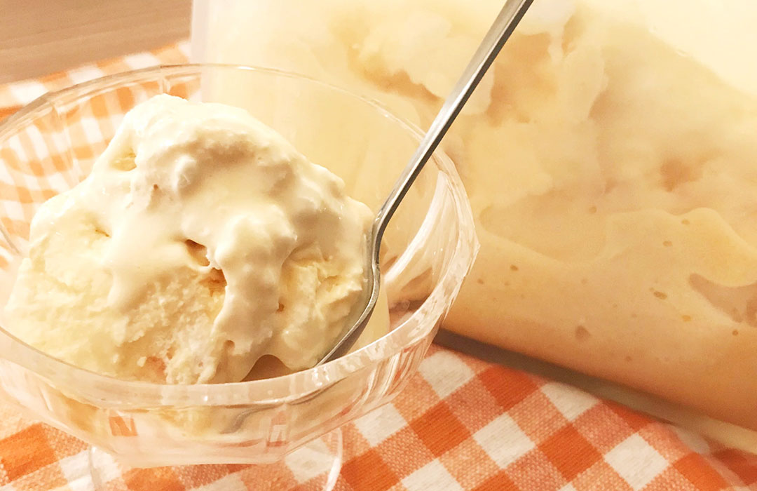 お家で作る簡単バニラアイスクリーム