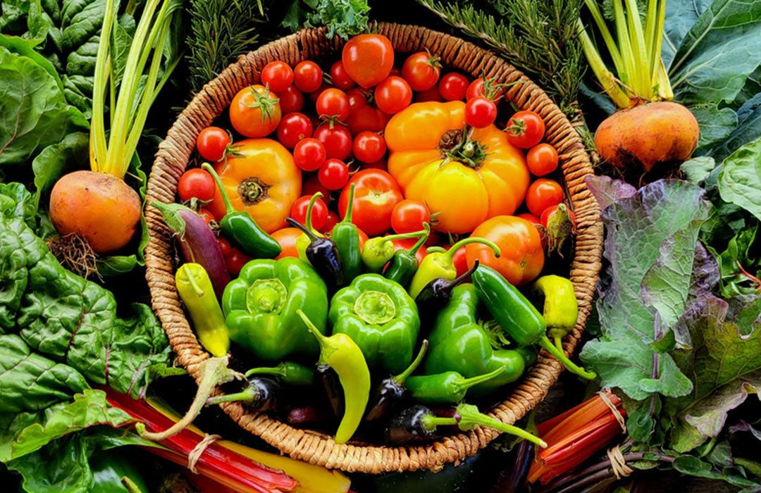 夏野菜の王様・トマトの魅力をたっぷりご紹介!