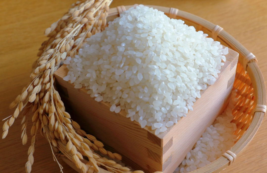 炊飯器いらず！？スタッシャーで叶える、新米のふっくらごはんと冷凍保存術